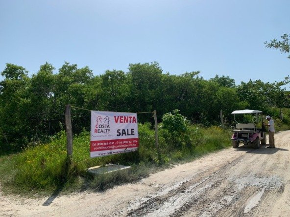 Terreno en venta en isla holbox - Camino de arena rodeado de vegetación tropical y palmeras que lleva hacia la playa