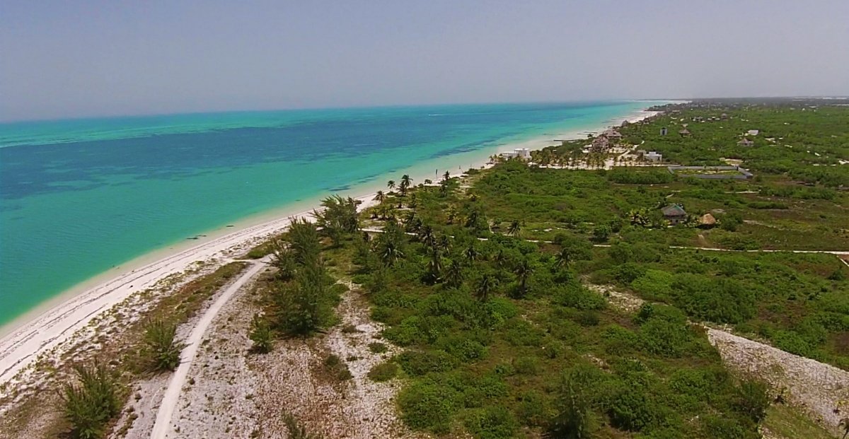Terreno en venta en isla holbox - vista aérea hacia manglar y el mar