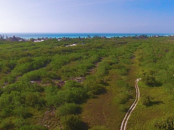 Terreno en venta en isla holbox - vista aérea hacia manglar y el mar en el fondo