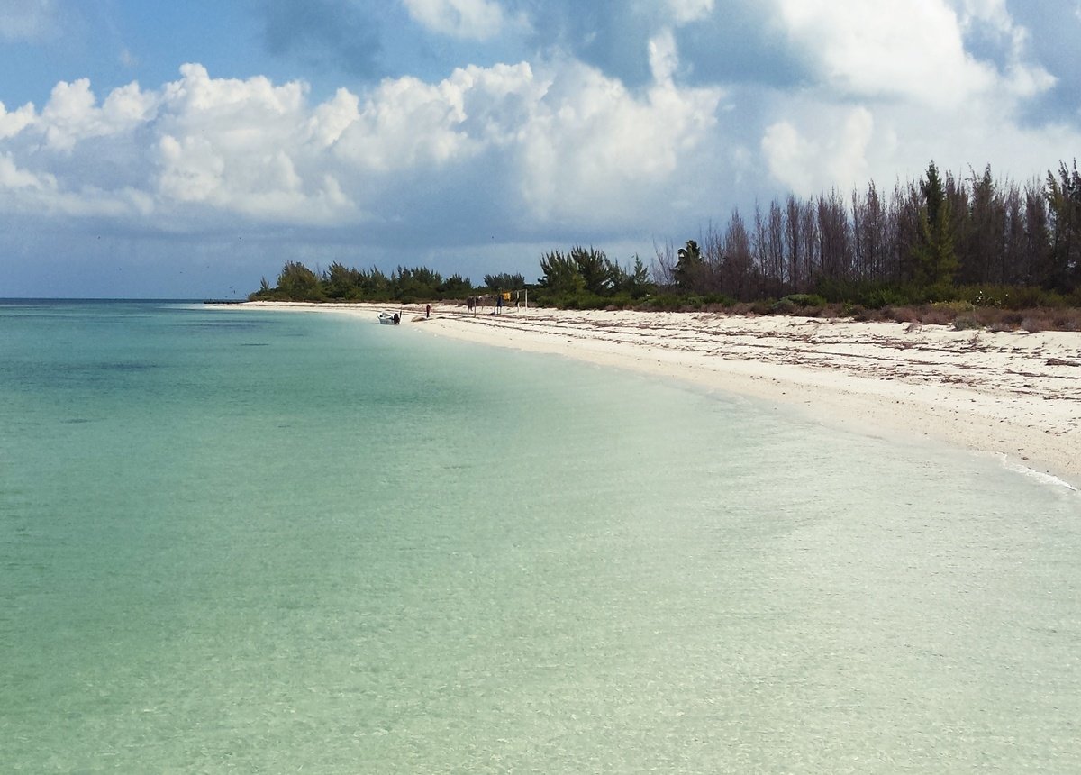 Terreno en venta en isla holbox - Playa con arena blanca, mar turquesa y vegetación costera al fondo