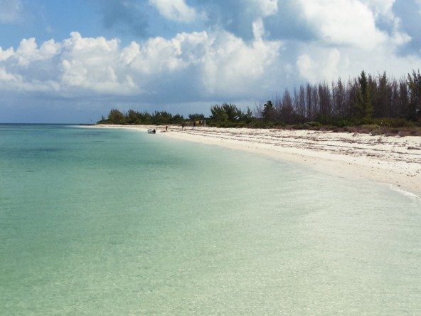 Terreno en venta en isla holbox - Playa con arena blanca, mar turquesa y vegetación costera al fondo