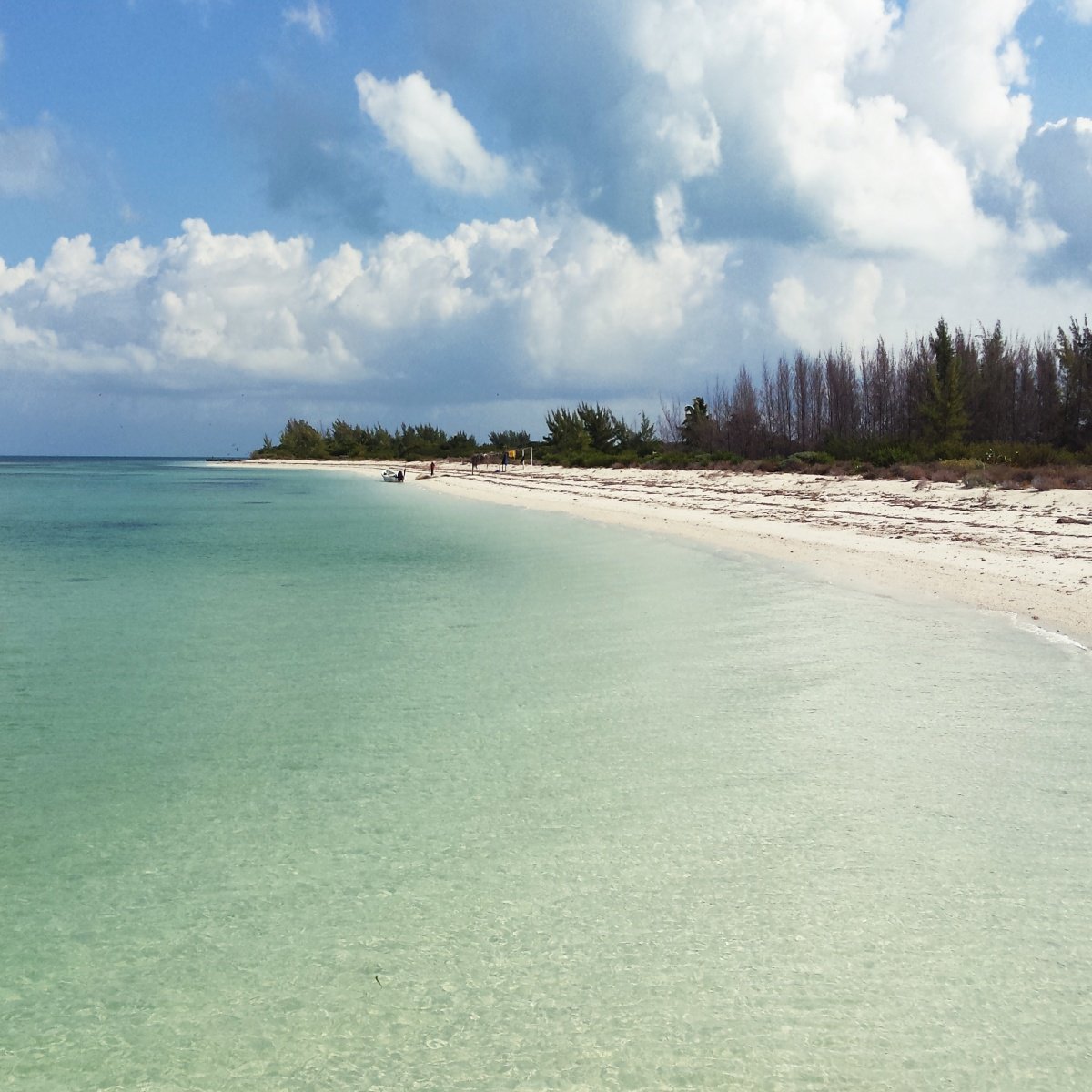 Terreno en venta en isla holbox - Playa con arena blanca, mar turquesa y vegetación costera al fondo