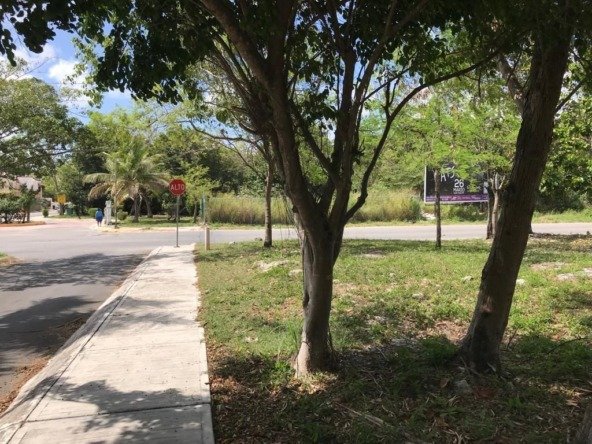 Terreno Comercial en venta en SM 521 Cancún-Calle