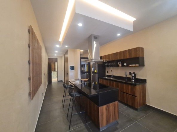 Lofty Double Height + extended terrace