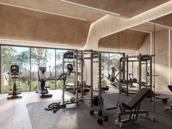 BAO Puerto Morelos GYM LATERAL