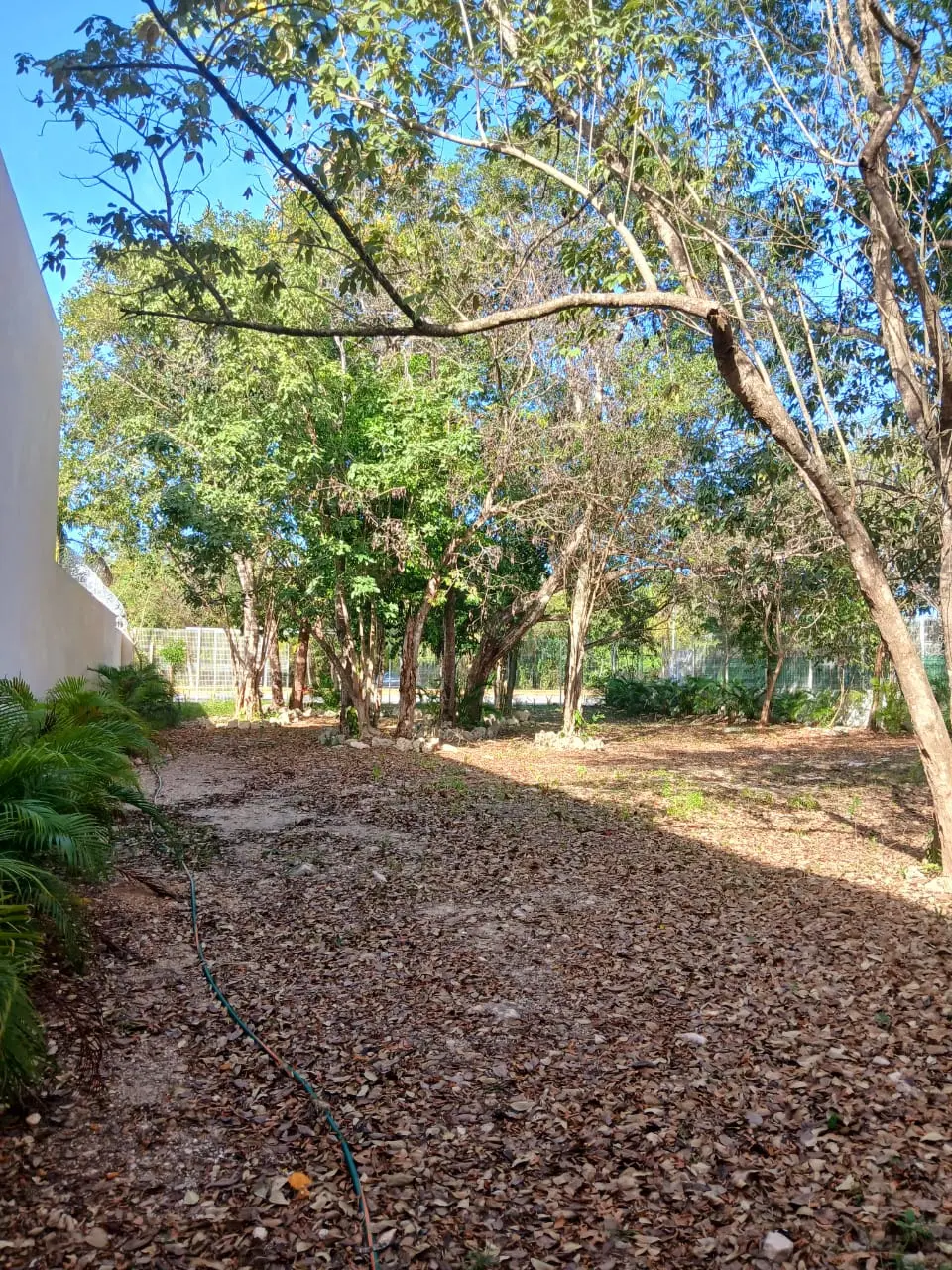 Land for sale in Playa del Carmen 10