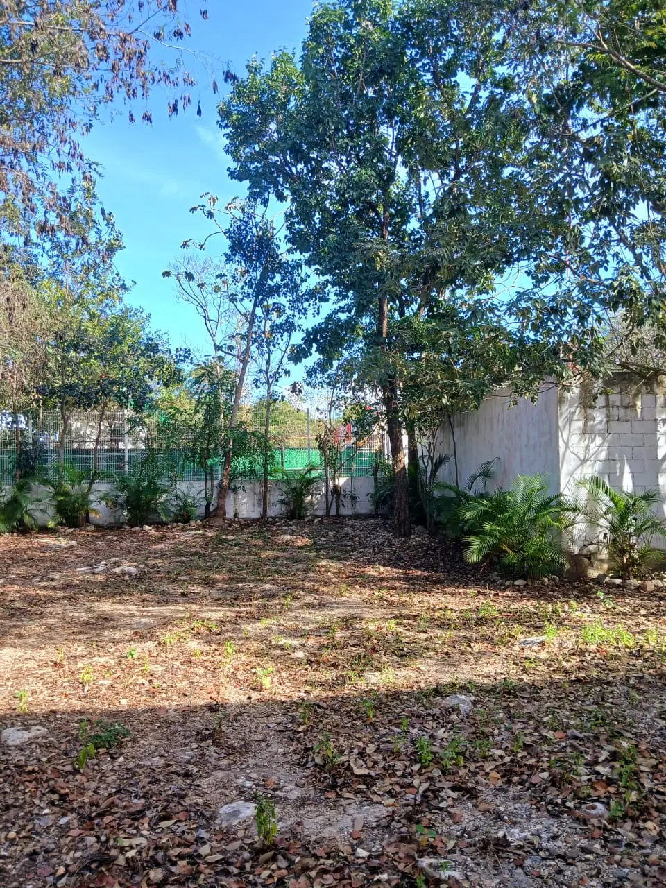 Land for sale in Playa del Carmen 2