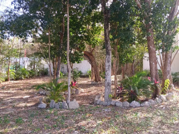 Land for sale in Playa del Carmen 5