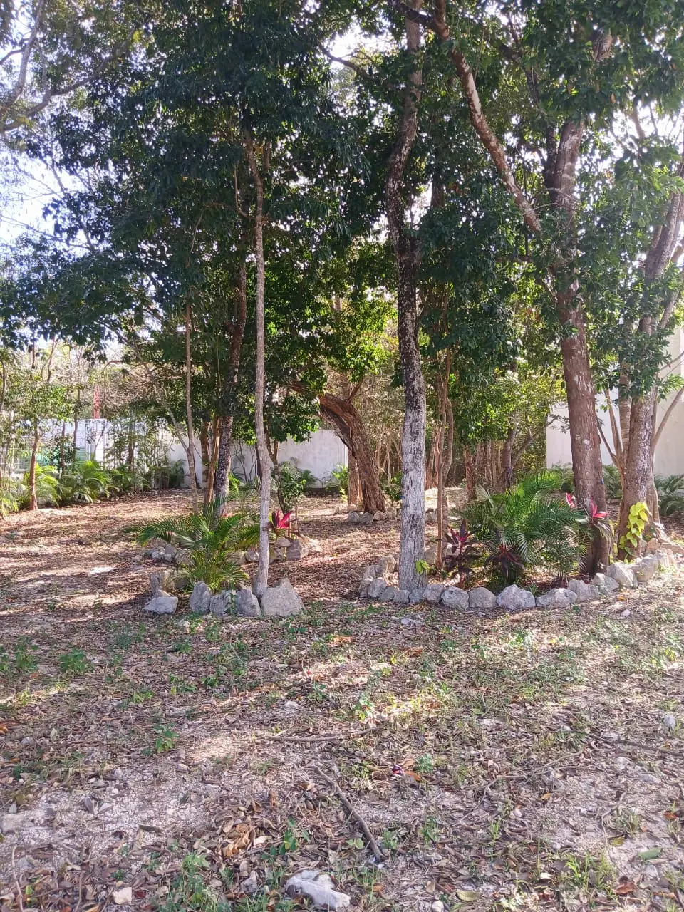 Land for sale in Playa del Carmen 5