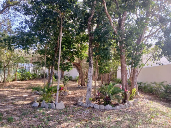 Land for sale in Playa del Carmen 8