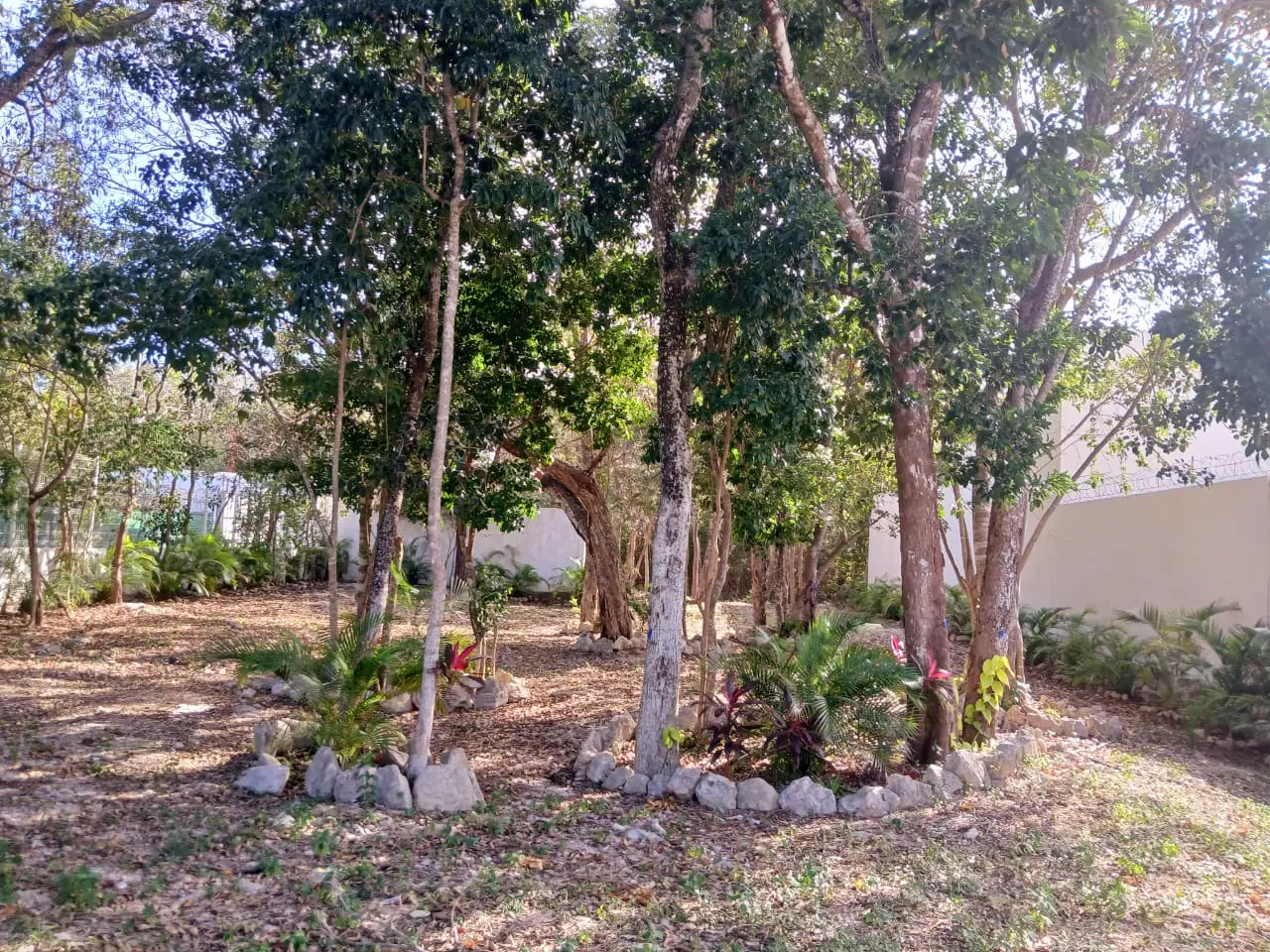 Land for sale in Playa del Carmen 8
