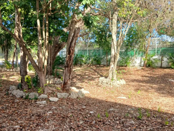 Land for sale in Playa del Carmen 9