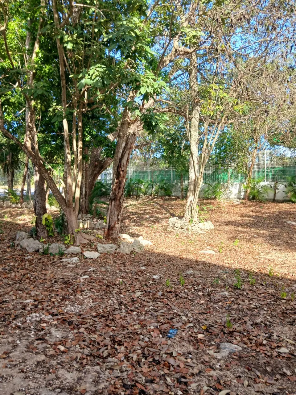 Land for sale in Playa del Carmen 9