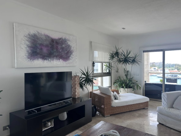 CR92 LA AMADA TV ROOM
