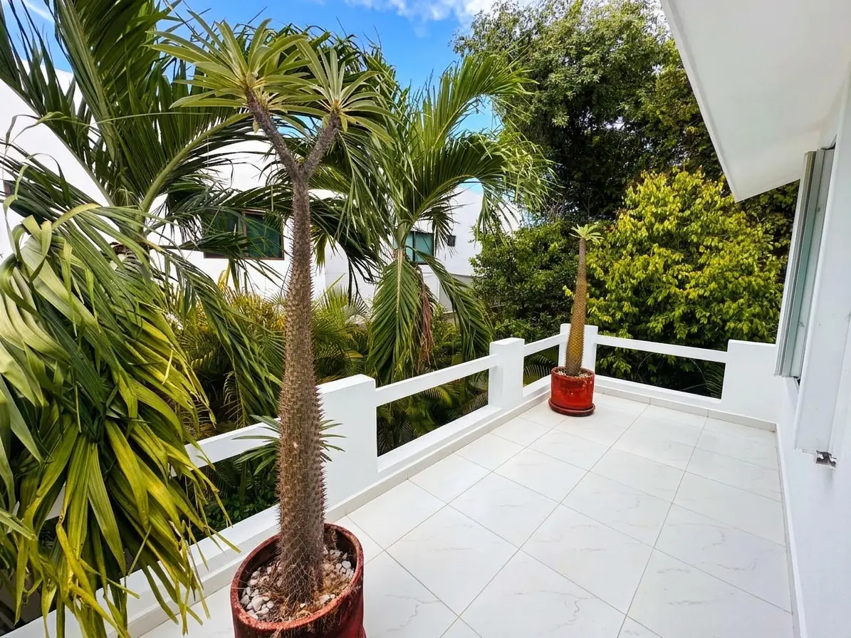 10 terrace, 12 sq m, CR99
