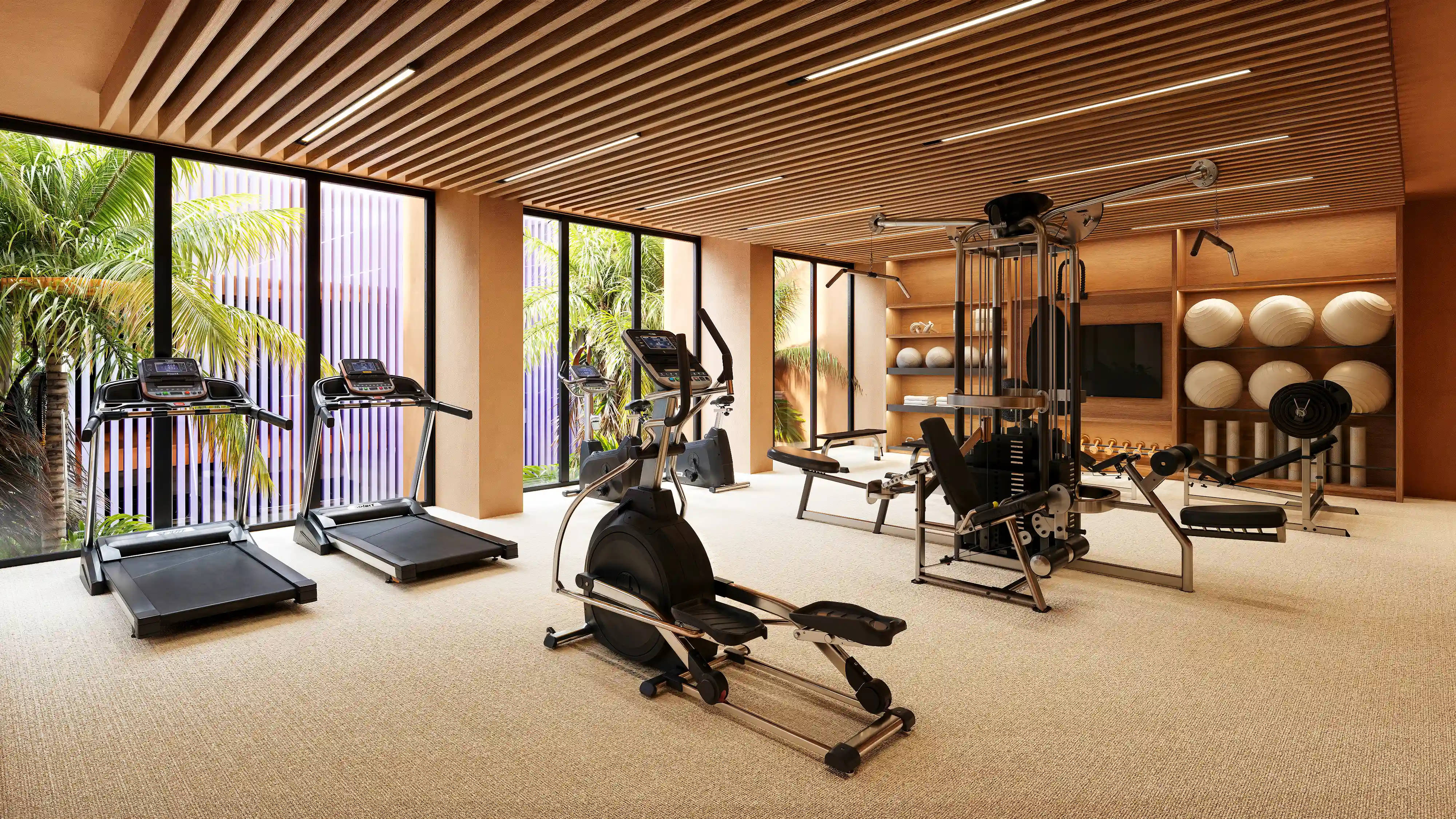MISTRAL GYM PHOTO 9