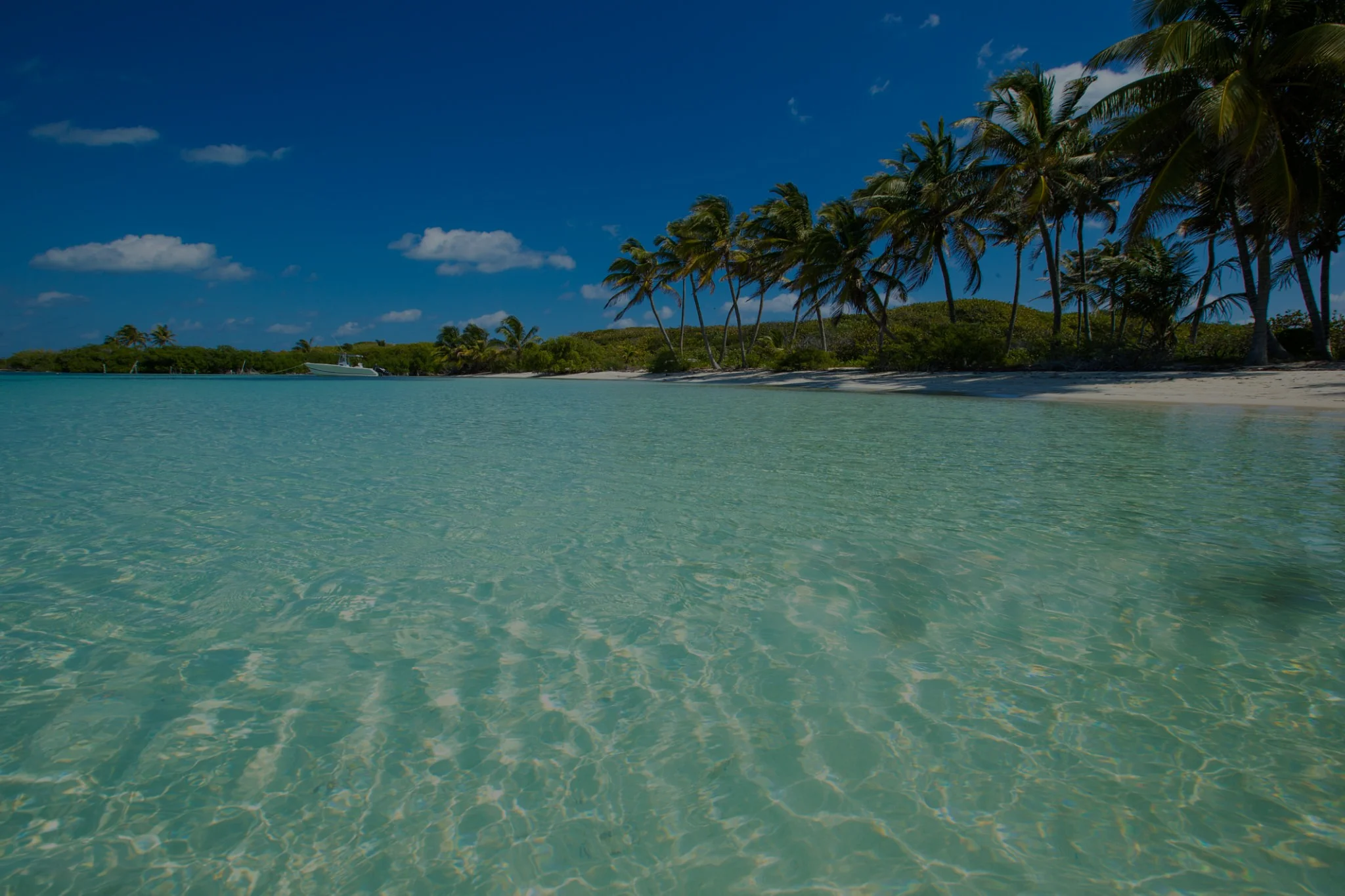 costa mujeres beach