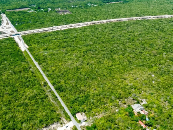 1-Land-Cenotes-Route-2-hectares