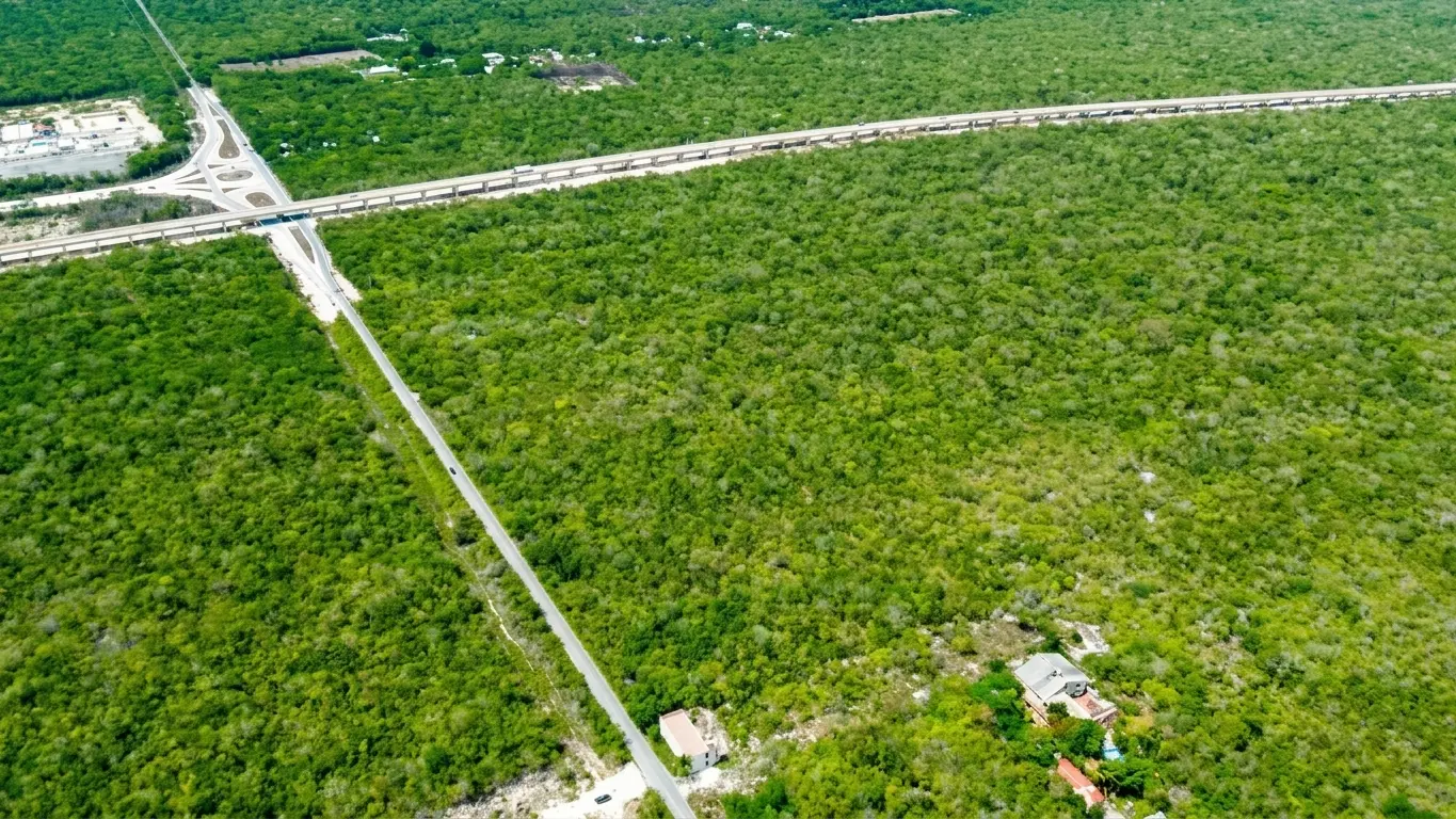 1-Land-Cenotes-Route-2-hectares