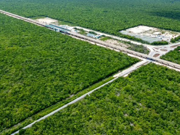 2-Land-Cenotes-Route-Maya-Train
