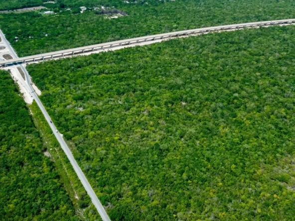 3-Land-Cenotes-Route-Maya-Train-another-view