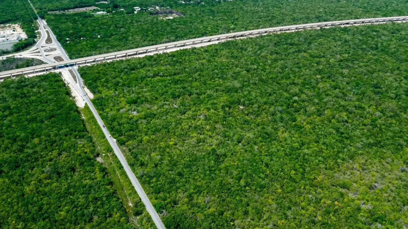 3-Land-Cenotes-Route-Maya-Train-another-view