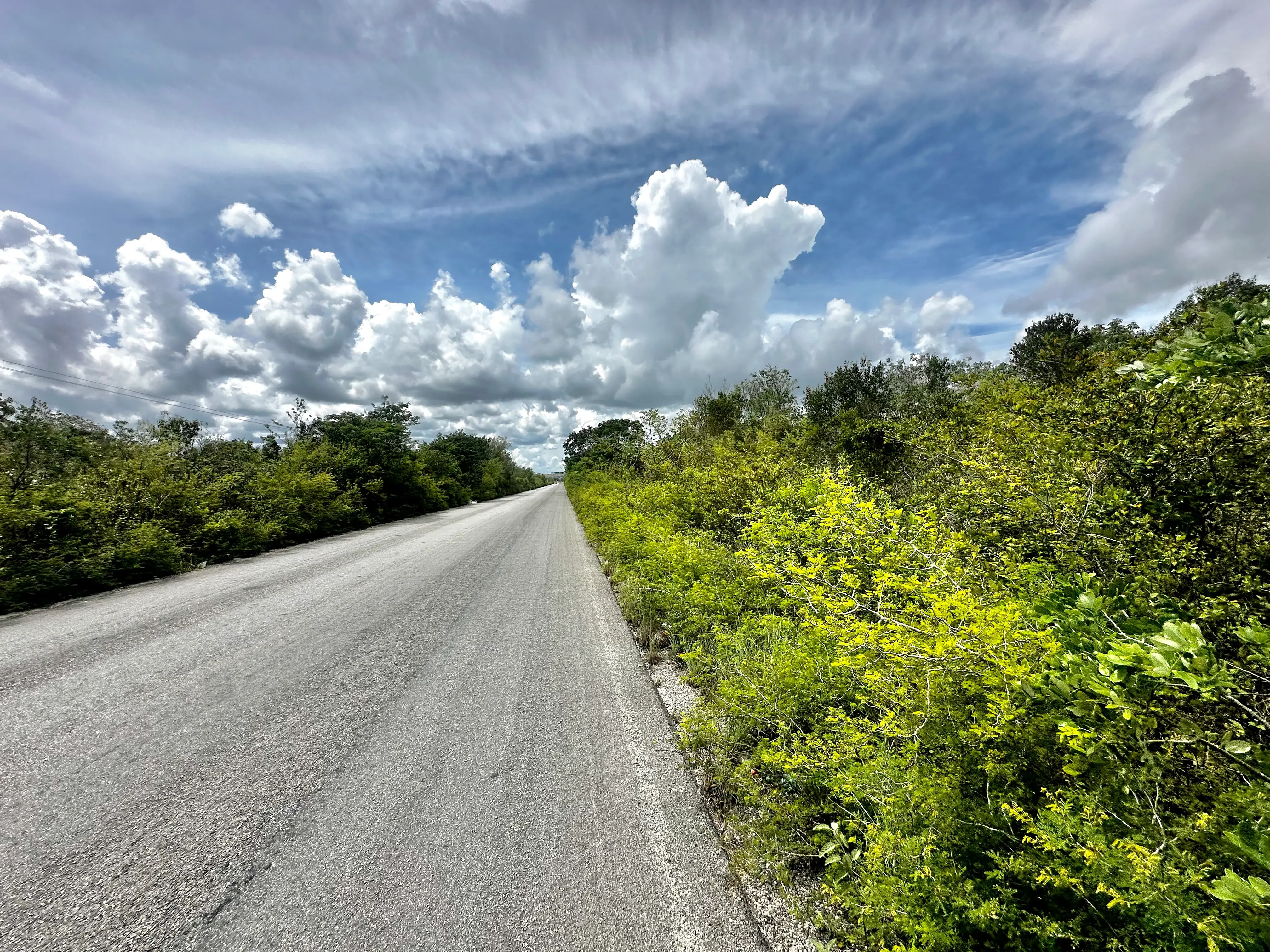 4-Land-Cenotes-Route-Maya-Train-road