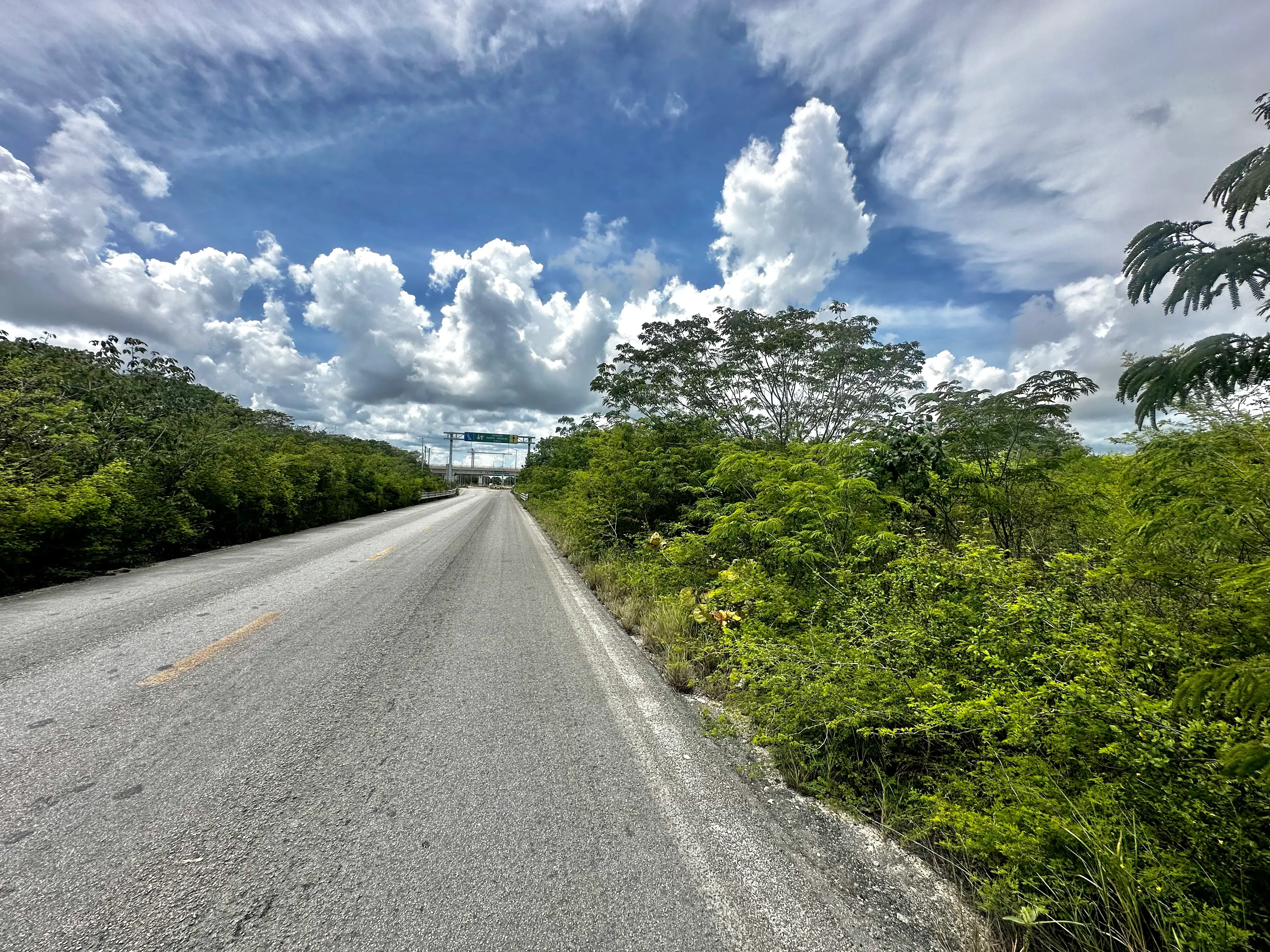 6-Land-Cenotes-Route-road